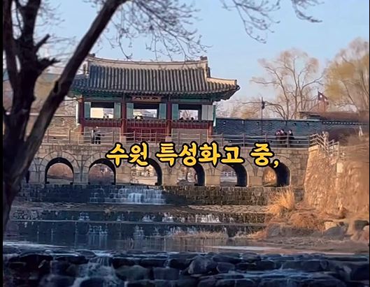 캡처.JPG