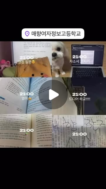 #매향여자정보고등학교 #매향여고 #특성화고