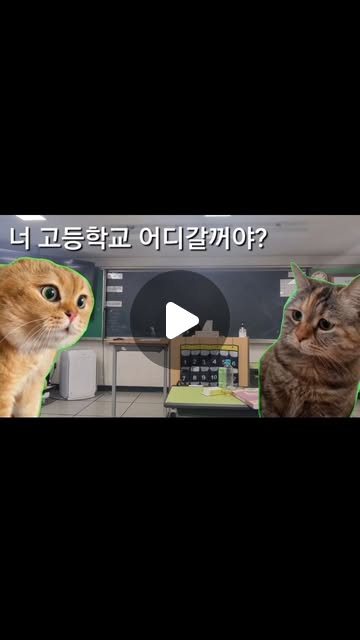 #매향여자정보고등학교 #매향여고 #보건간호과 #창작공모전 #수상작